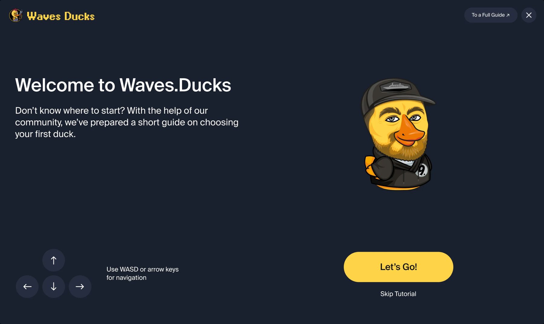 Waves Ducks onboarding